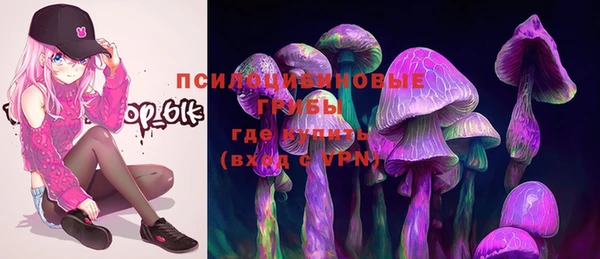 гашик Бугульма