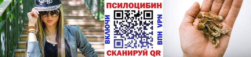 Галлюциногенные грибы Psilocybe  купить   Махачкала 